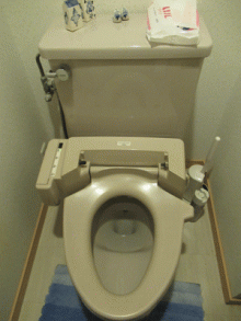 コンパクトなタンクとスタイリッシュな手洗器 文京区T様邸 コンパクトなタンクとスタイリッシュな手洗器 文京区T様邸